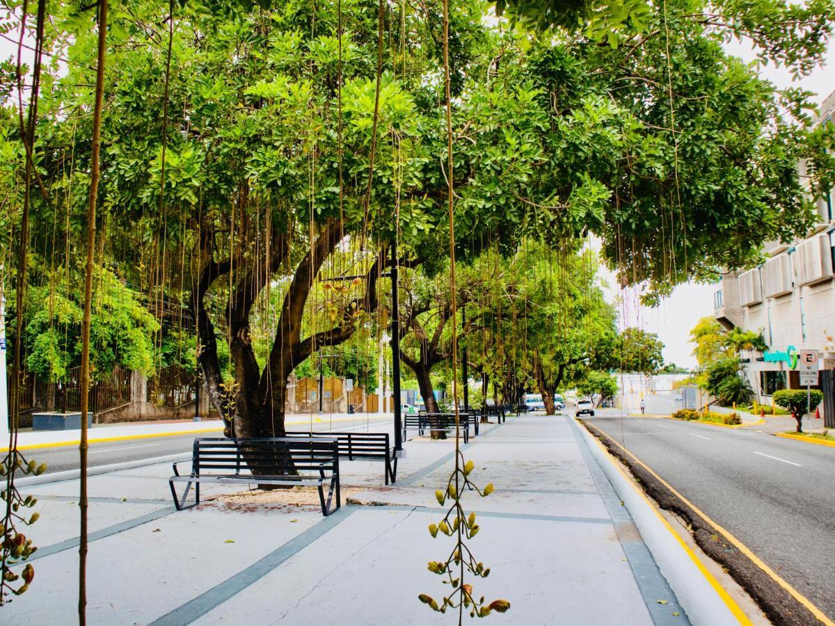 Super Luxurious L6 Sky Blue Apartment Santo Domingo Bagian luar foto