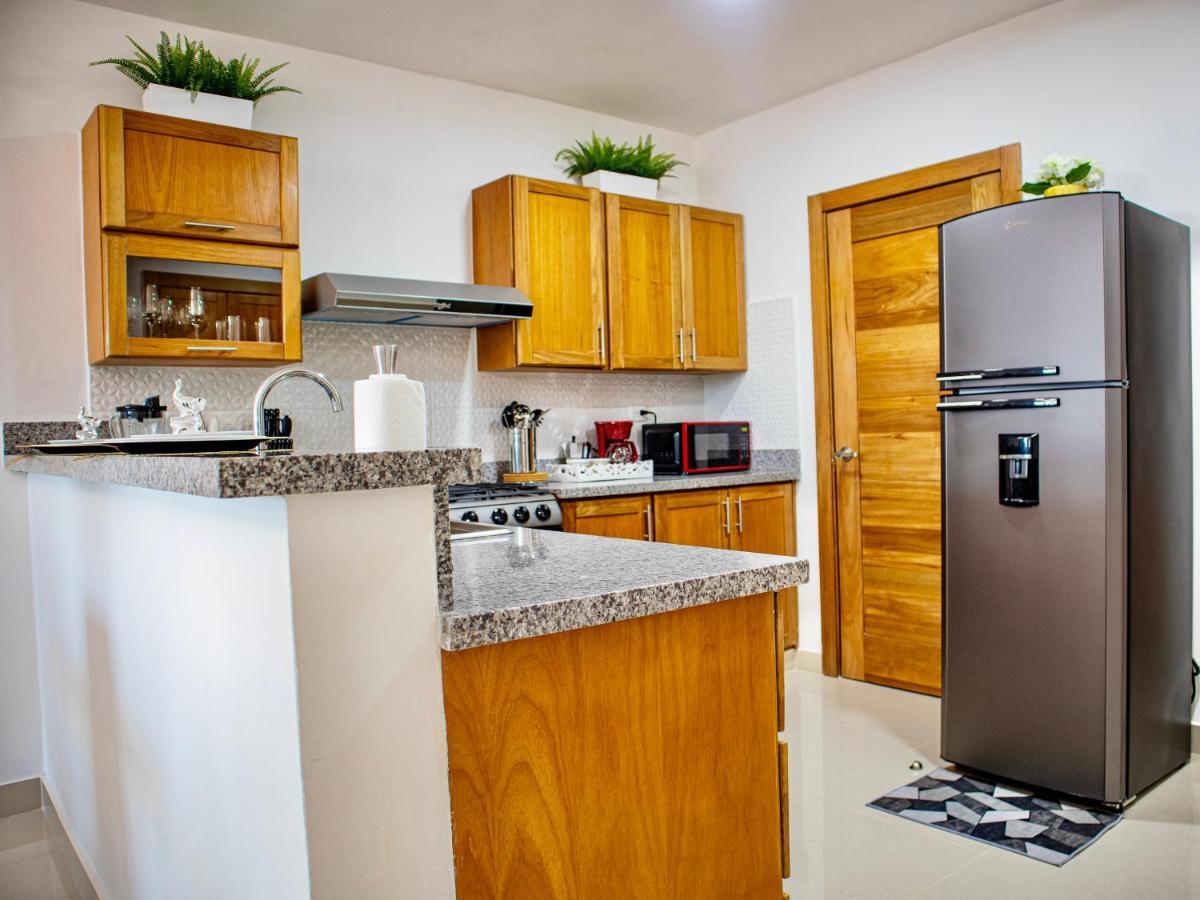 Super Luxurious L6 Sky Blue Apartment Santo Domingo Bagian luar foto